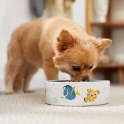 Pixar Finding Nemo Non-Skid Ceramic Dog & Cat Bowl -PetSafe Kong Shop 291426 PT2. AC SS1800 V1633978650