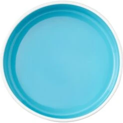 Disney Winnie The Pooh Non-Skid Ceramic Dog & Cat Bowl -PetSafe Kong Shop 291428 PT4. AC SS1800 V1633978445