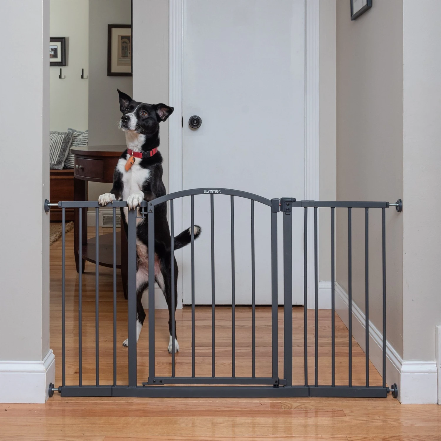 Summer Decor Safety Dog Gate 1 Summer Decor Safety Dog Gate