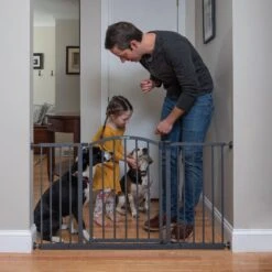 Summer Decor Safety Dog Gate 8 Summer Decor Safety Dog Gate -PetSafe Kong Shop 292150 PT3. AC SS1800 V1621034558