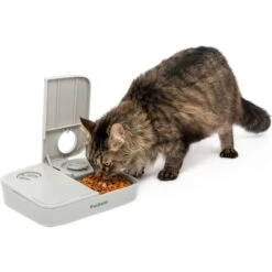 PetSafe Automatic Two-Meal Dog & Cat Feeder