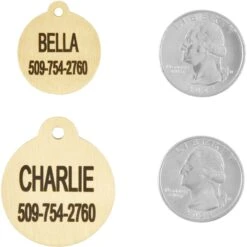 Frisco Brass Personalized Dog & Cat ID Tag, Round -PetSafe Kong Shop 296194 PT5. AC SS1800 V1628186525