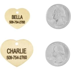 Frisco Brass Personalized Dog & Cat ID Tag, Heart 8 Frisco Brass Personalized Dog & Cat ID Tag, Heart -PetSafe Kong Shop 296197 PT5. AC SS1800 V1628186498
