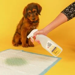 Skout's Honor Dog Pee Pad Refresher Spray, 28-oz Bottle -PetSafe Kong Shop 296655 PT3. AC SS1800 V1658217348