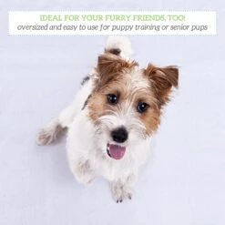 Green Lifestyle Reusable Dog Pee Pads -PetSafe Kong Shop 297100 PT3. AC SS1800 V1624920168