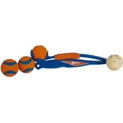 Chuckit! National Fetch Day Gearbox Dog Toy -PetSafe Kong Shop 297206 PT3. AC SS1800 V1626732368