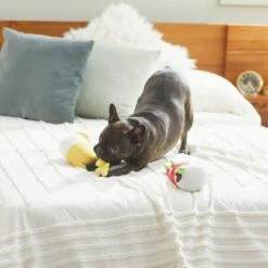 Frisco Brunch Bottomless Mimosas Plush Squeaky Dog Toy, 2 Count -PetSafe Kong Shop 297226 PT2. AC SS1800 V1642088368