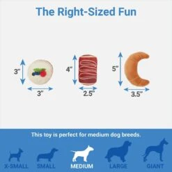 Frisco Brunch Pastry Plate Plush Squeaky Dog Toy 6 Frisco Brunch Pastry Plate Plush Squeaky Dog Toy -PetSafe Kong Shop 297262 PT2. AC SS1800 V1643916710