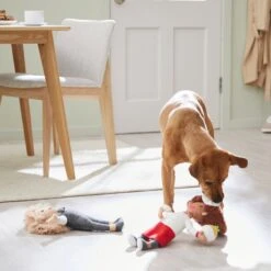 Frisco Brunch Chef & Waitress Plush Squeaky Dog Toy, 2 Count -PetSafe Kong Shop 297278 PT2. AC SS1800 V1642088629