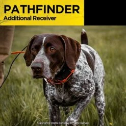 Dogtra PATHFINDER Additional Receiver Expandable Waterproof Smartphone GPS Tracking & Training Dog E-Collar 15 Dogtra PATHFINDER Additional Receiver Expandable Waterproof Smartphone GPS Tracking & Training Dog E-Collar -PetSafe Kong Shop 297487 PT7. AC SS1800 V1626192069