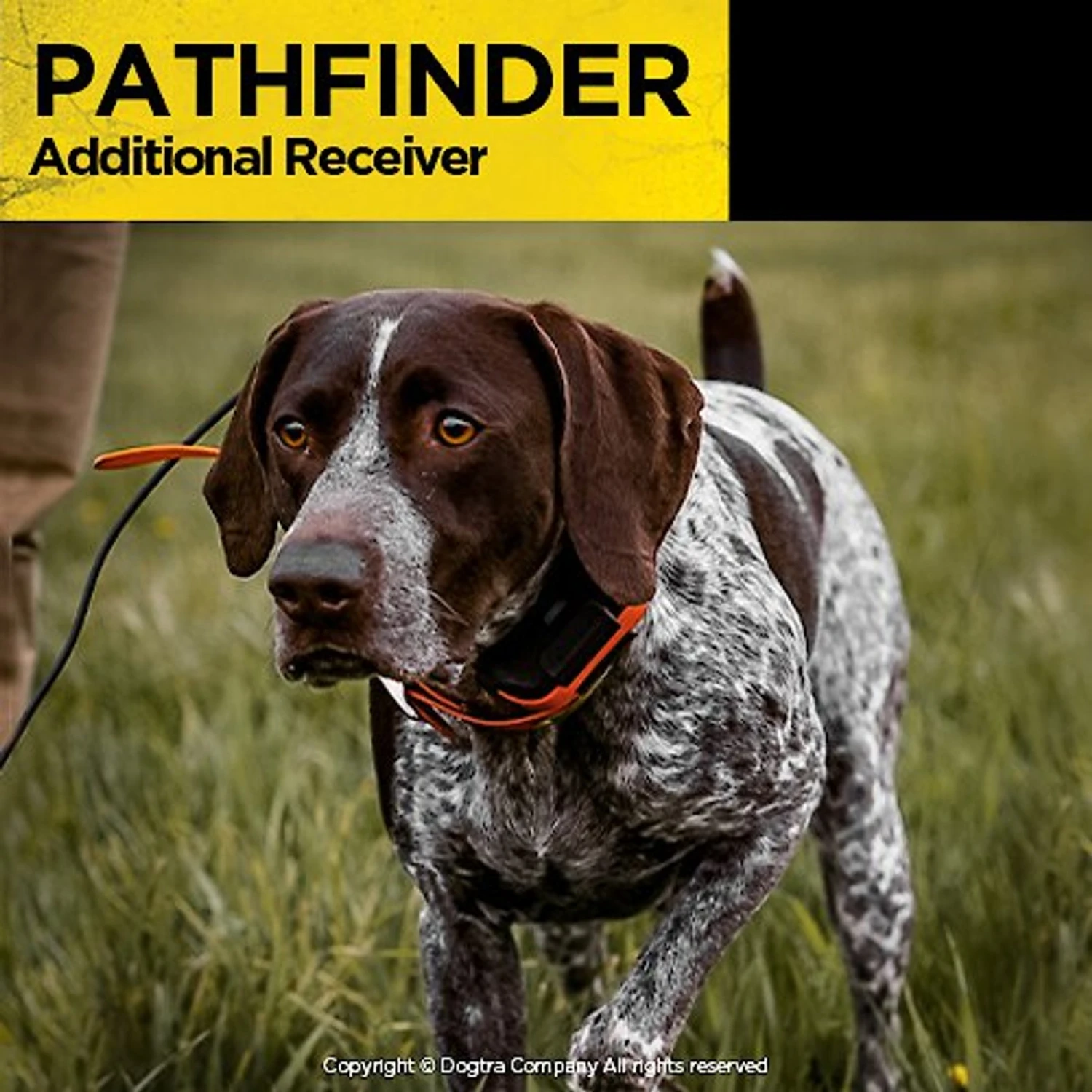Dogtra PATHFINDER Additional Receiver Expandable Waterproof Smartphone GPS Tracking & Training Dog E-Collar 8 Dogtra PATHFINDER Additional Receiver Expandable Waterproof Smartphone GPS Tracking & Training Dog E-Collar - Image 8