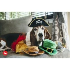 P.L.A.Y. Pet Lifestyle And You Mutt Hatter Squeaky Dog Toy, 5 Count 10 P.L.A.Y. Pet Lifestyle And You Mutt Hatter Squeaky Dog Toy, 5 Count -PetSafe Kong Shop 297626 PT2. AC SS1800 V1621035731