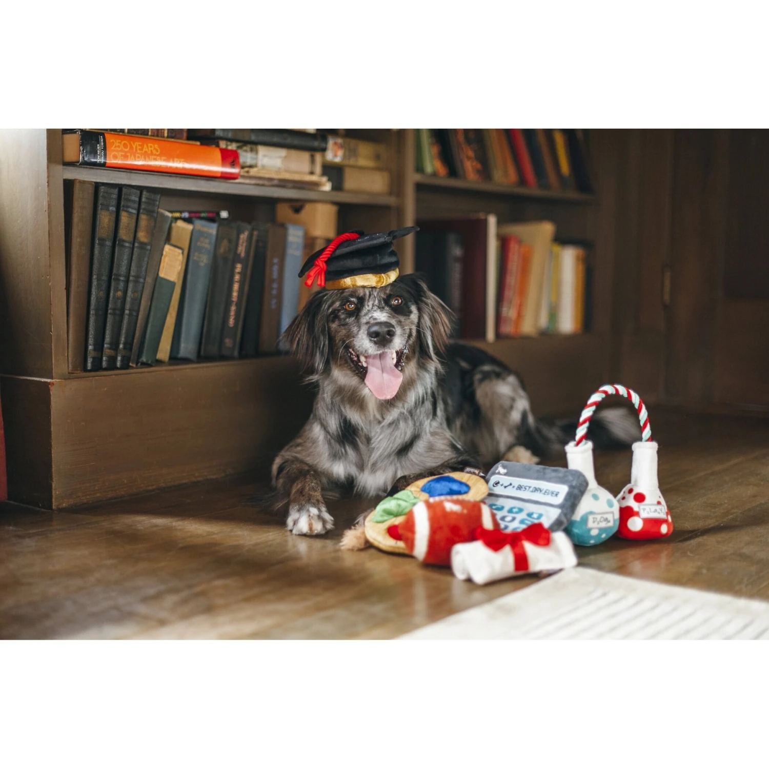 P.L.A.Y. Pet Lifestyle And You Back To School Squeaky Dog Toy, 5 Count 3 P.L.A.Y. Pet Lifestyle And You Back To School Squeaky Dog Toy, 5 Count - Image 3