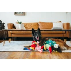 P.L.A.Y. Pet Lifestyle And You Fetching Flock Squeaky Dog Toy, 5 Count 10 P.L.A.Y. Pet Lifestyle And You Fetching Flock Squeaky Dog Toy, 5 Count -PetSafe Kong Shop 297630 PT2. AC SS1800 V1621032546