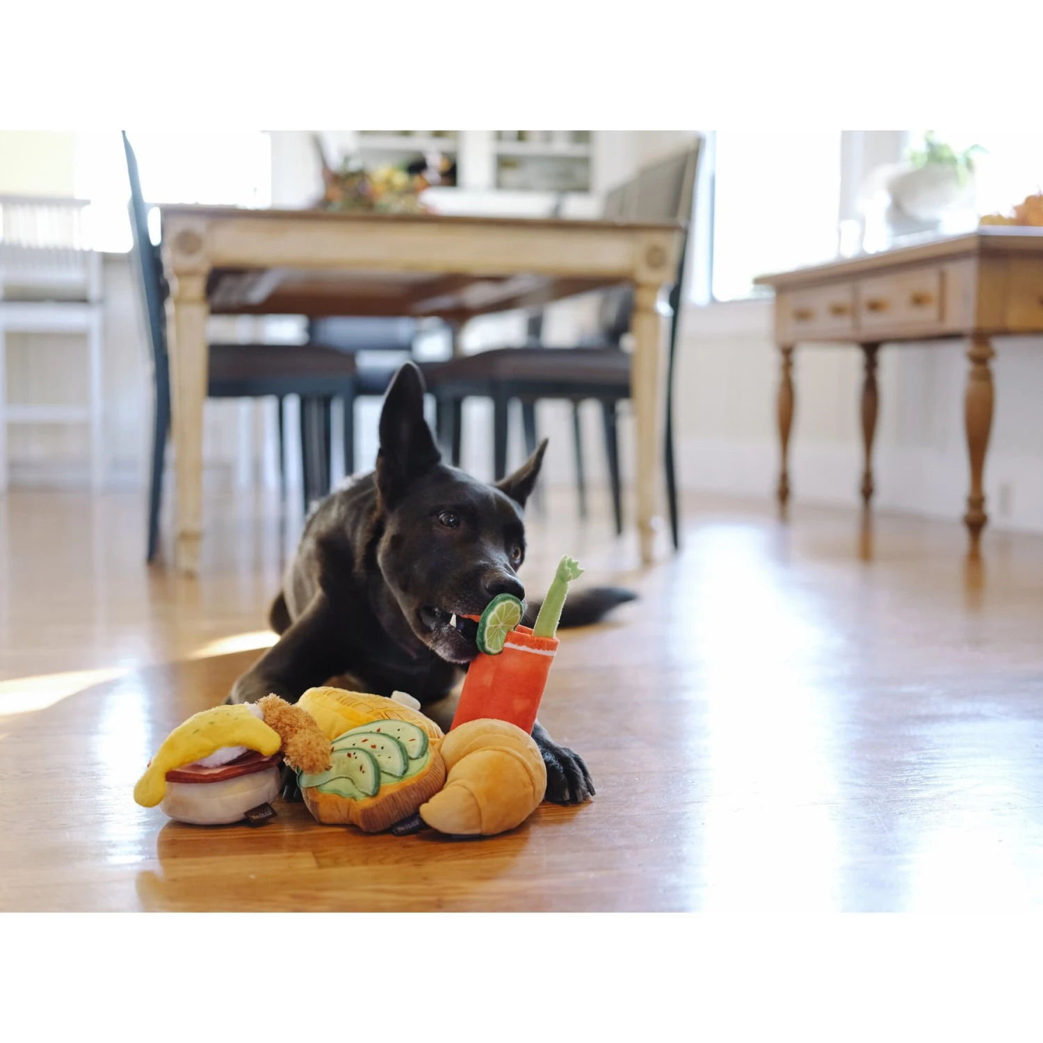 P.L.A.Y. Pet Lifestyle And You Barking Brunch Squeaky Dog Toy, 5 Count 3 P.L.A.Y. Pet Lifestyle And You Barking Brunch Squeaky Dog Toy, 5 Count - Image 3