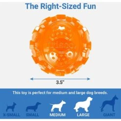 Frisco Fetch Squeaky TPR Ball Dog Toy & Bones & Chews Pig Ear Chews Dog Treats 7 Frisco Fetch Squeaky TPR Ball Dog Toy & Bones & Chews Pig Ear Chews Dog Treats -PetSafe Kong Shop 297964 PT2. AC SS1800 V1623255143