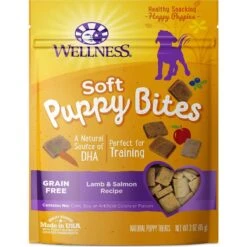 KONG Puppy Flyer Dog Toy, Color Varies & Wellness Soft Puppy Bites Lamb & Salmon Recipe Grain-Free Natural Dog Treats 13 KONG Puppy Flyer Dog Toy, Color Varies & Wellness Soft Puppy Bites Lamb & Salmon Recipe Grain-Free Natural Dog Treats -PetSafe Kong Shop 298190 PT5. AC SS1800 V1623193942