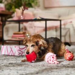Frisco Valentine Cupcakes Plush Squeaky Dog Toy -PetSafe Kong Shop 298913 PT3. AC SS1800 V1701365164
