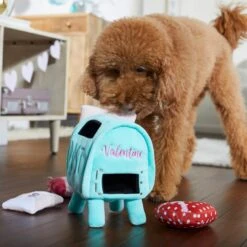 Frisco Valentine Love Letters Hide & Seek Puzzle Plush Squeaky Dog Toy 8 Frisco Valentine Love Letters Hide & Seek Puzzle Plush Squeaky Dog Toy -PetSafe Kong Shop 298929 PT3. AC SS1800 V1638987486