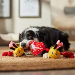 Frisco Valentine Bee Mine Plush With Rope Squeaky Dog Toy -PetSafe Kong Shop 298937 PT3. AC SS1800 V1701365190