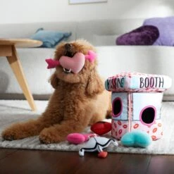 Frisco Valentine Kissing Booth Hide & Seek Puzzle Plush Squeaky Dog Toy -PetSafe Kong Shop 298943 PT3. AC SS1800 V1638987417