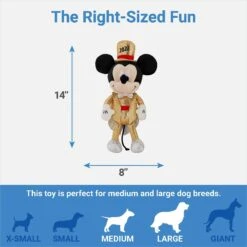 Disney Mickey & Minnie Mouse Plush Squeaky Dog Toy, 2 Count -PetSafe Kong Shop 298970 PT2. AC SS1800 V1642088346