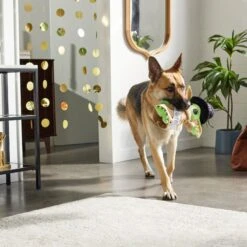 STAR WARS New Year's Eve THE MANDALORIAN GROGU Ballistic Nylon Plush Squeaky Dog Toy 5 STAR WARS New Year's Eve THE MANDALORIAN GROGU Ballistic Nylon Plush Squeaky Dog Toy -PetSafe Kong Shop 298975 PT2. AC SS1800 V1637767146