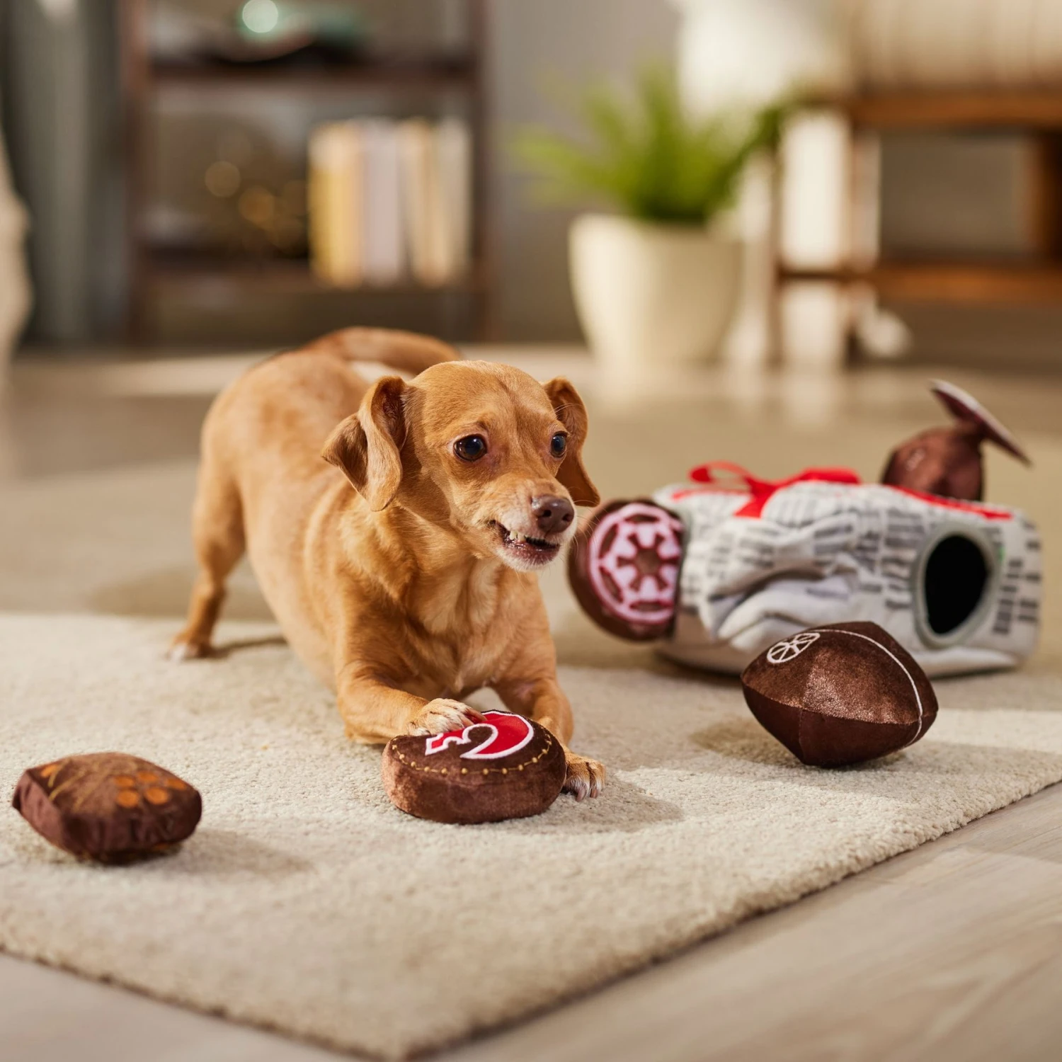 STAR WARS Valentine Box Of Chocolates Hide & Seek Puzzle Plush Squeaky Dog Toy 4 STAR WARS Valentine Box Of Chocolates Hide & Seek Puzzle Plush Squeaky Dog Toy - Image 4