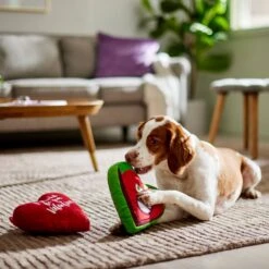 Marvel 's Valentine Scarlet Witch & Vision Hearts Plush Squeaky Dog Toy -PetSafe Kong Shop 299002 PT3. AC SS1800 V1639418585