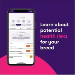 Orivet Geno Pet Dog DNA Breed Identification Test -PetSafe Kong Shop 299516 PT3. AC SS1800 V1648582584