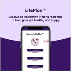 Orivet Geno Pet Dog DNA Breed Identification Test -PetSafe Kong Shop 299516 PT4. AC SS1800 V1648582881