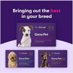 Orivet Geno Pet Dog DNA Breed Identification Test -PetSafe Kong Shop 299516 PT6. AC SS1800 V1648580482