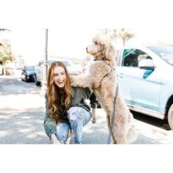 Boulevard Gingham Dog Leash -PetSafe Kong Shop 299685 PT8. AC SS1800 V1633060950