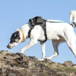 Kurgo Stash N’ Dash Dog Harness, Black -PetSafe Kong Shop 300060 PT7. AC SS1800 V1621548496