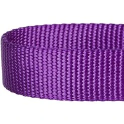 Blueberry Pet Safety Training Personalized Martingale Dog Collar -PetSafe Kong Shop 300378 PT2. AC SS1800 V1623136050