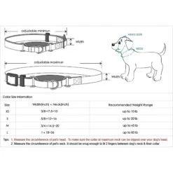 Blueberry Pet Safety Training Personalized Martingale Dog Collar -PetSafe Kong Shop 300378 PT3. AC SS1800 V1623123754