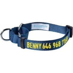 Blueberry Pet Essentials Safety Training Personalized Martingale Dog Collar