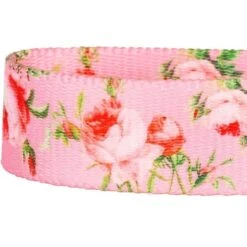 Blueberry Pet Spring Scent Rose Floral Personalized ID Dog Collar -PetSafe Kong Shop 300443 PT2. AC SS1800 V1623120201