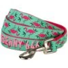Blueberry Pet Flamingo Personalized Standard Dog Leash