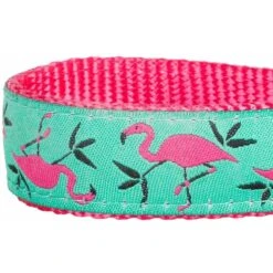 Blueberry Pet Flamingo Personalized Standard Dog Leash -PetSafe Kong Shop 300611 PT2. AC SS1800 V1623147780