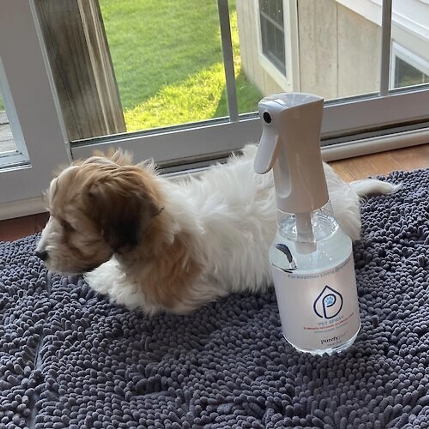 Purefy Deodorizing Pet Spray 4 Purefy Deodorizing Pet Spray - Image 4