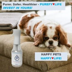 Purefy Deodorizing Pet Spray 11 Purefy Deodorizing Pet Spray -PetSafe Kong Shop 301306 PT4. AC SS1800 V1626478598