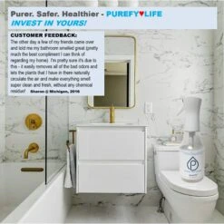 Purefy Natural Air Cleanser, 24-oz Bottle -PetSafe Kong Shop 301318 PT3. AC SS1800 V1626476800