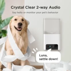 Petcube Bites 2 Lite Interactive WiFi Pet Monitoring Treat Dispenser Camera -PetSafe Kong Shop 301337 PT3. AC SS1800 V1631774530