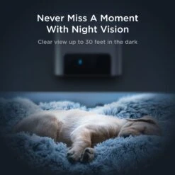 Petcube Bites 2 Lite Interactive WiFi Pet Monitoring Treat Dispenser Camera -PetSafe Kong Shop 301337 PT4. AC SS1800 V1631780253