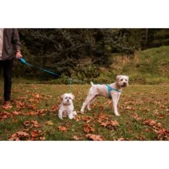 Wigzi Retractable Coupler Dog Leash, Blue 11 Wigzi Retractable Coupler Dog Leash, Blue -PetSafe Kong Shop 301575 PT4. AC SS1800 V1626469599