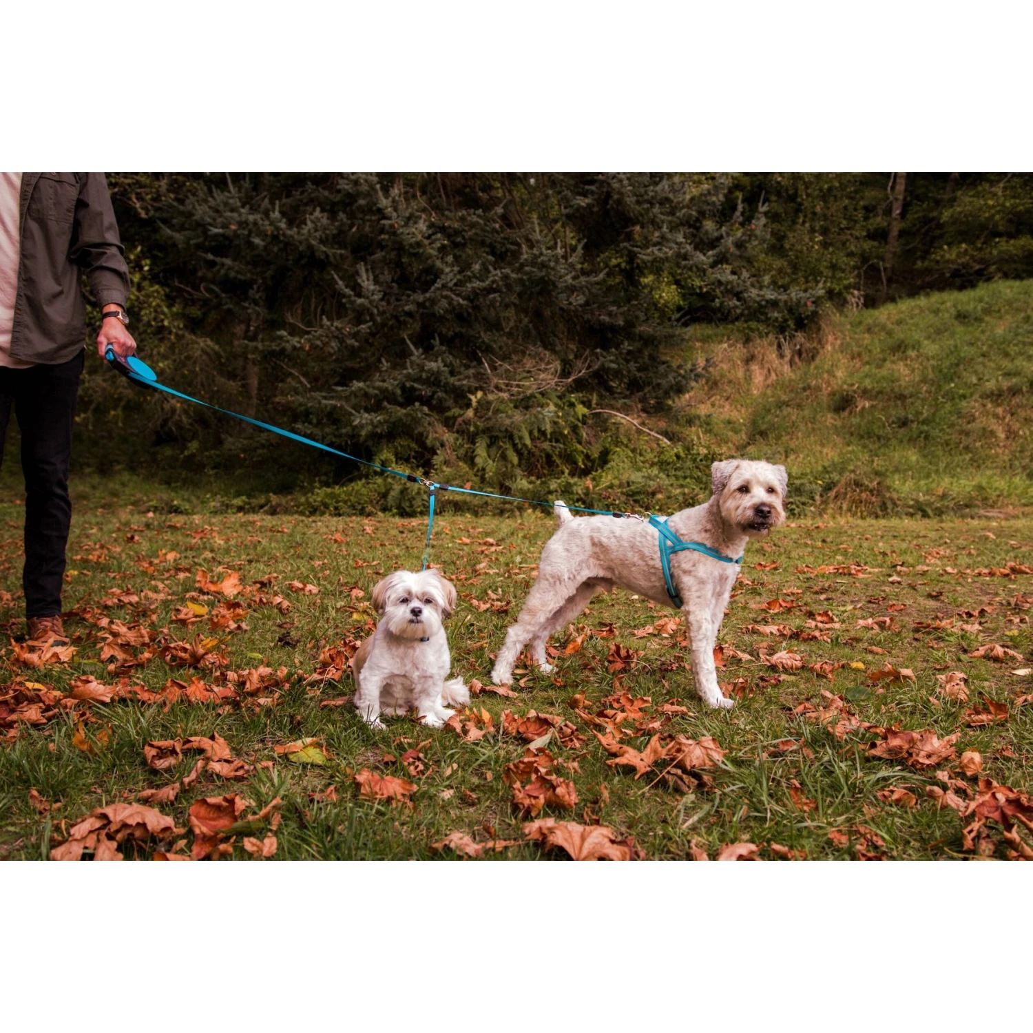 Wigzi Retractable Coupler Dog Leash, Blue 5 Wigzi Retractable Coupler Dog Leash, Blue - Image 5
