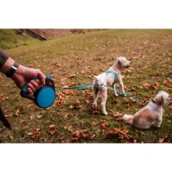 Wigzi Retractable Coupler Dog Leash, Blue 12 Wigzi Retractable Coupler Dog Leash, Blue -PetSafe Kong Shop 301575 PT5. AC SS1800 V1626473809