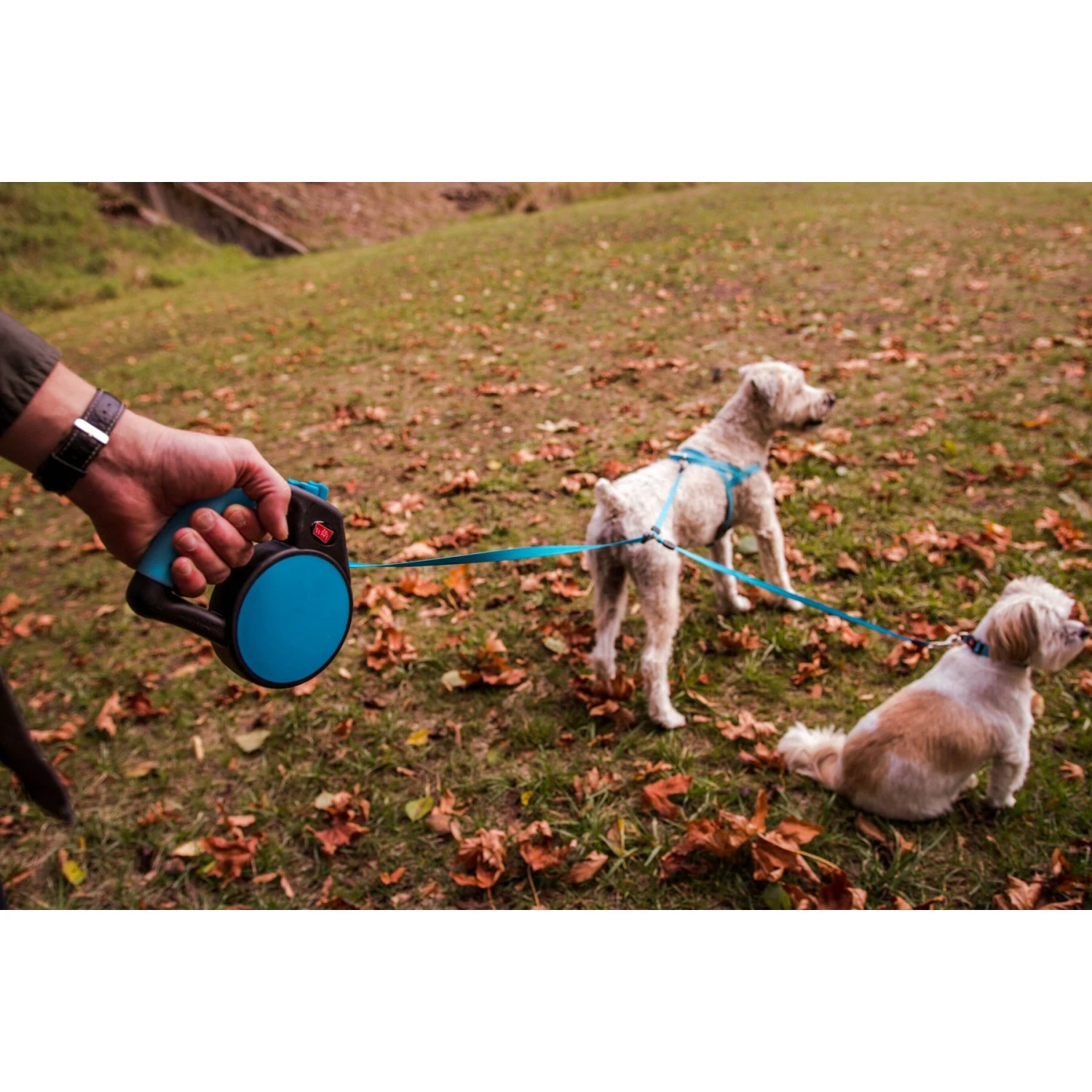 Wigzi Retractable Coupler Dog Leash, Blue 6 Wigzi Retractable Coupler Dog Leash, Blue - Image 6