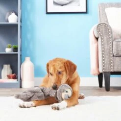 Frisco Giraffe Bungee Plush Squeaky Dog Toy & Frisco Sloth Bungee Plush Squeaky Dog Toy -PetSafe Kong Shop 302402 PT8. AC SS1800 V1623091941